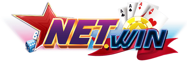 netwin logo